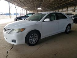 Salvage cars for sale at Phoenix, AZ auction: 2010 Toyota Camry Base