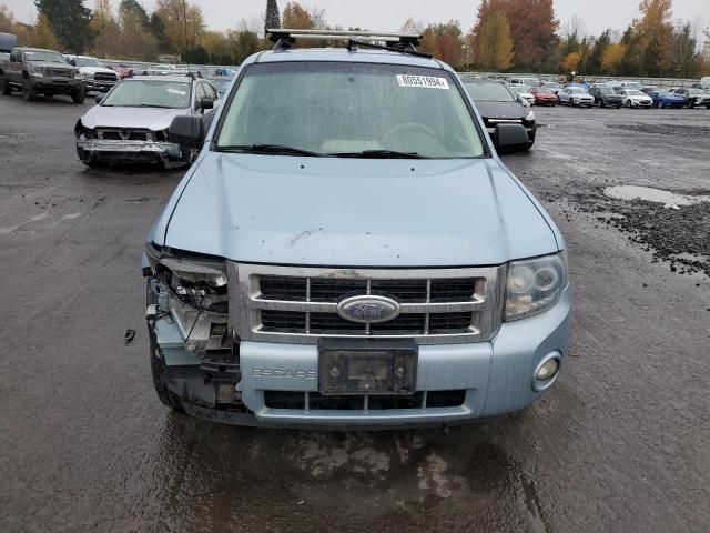 2008 Ford Escape HEV