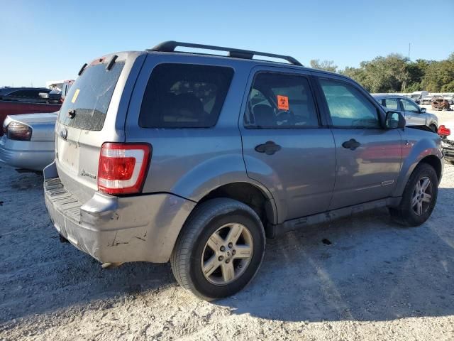 2008 Ford Escape HEV