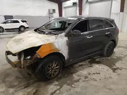 Salvage cars for sale from Copart Avon, MN: 2019 KIA Sorento LX