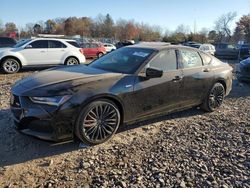 Acura salvage cars for sale: 2023 Acura TLX Type S PMC Edition