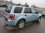 2008 Ford Escape HEV