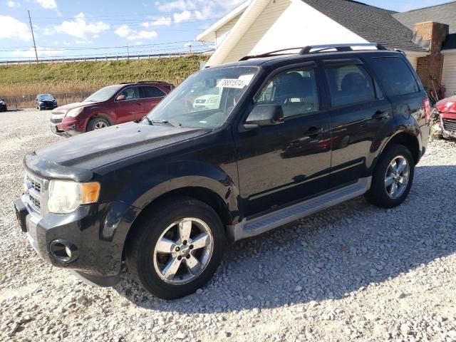 2010 Ford Escape Limited