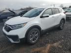 2022 Honda CR-V EXL