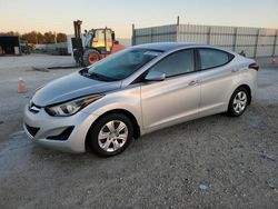 2016 Hyundai Elantra SE en venta en Arcadia, FL