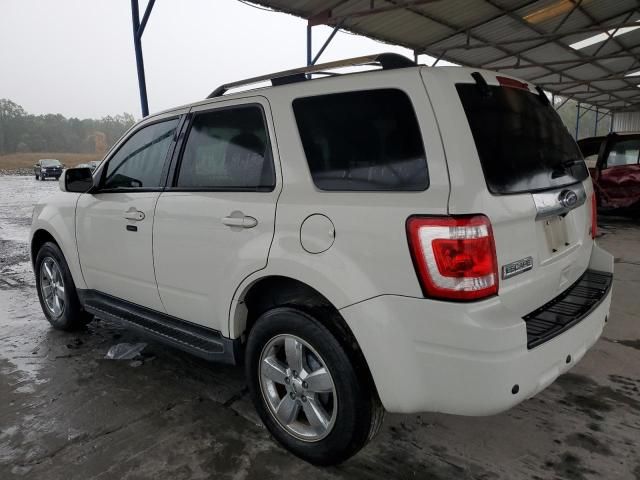 2011 Ford Escape Limited