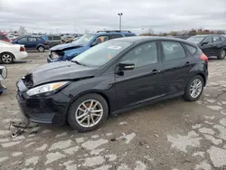 2017 Ford Focus SE en venta en Indianapolis, IN