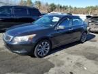 2008 Honda Accord EX