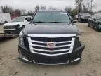 2019 Cadillac Escalade