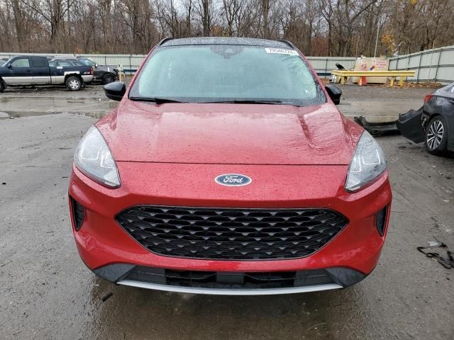 2020 Ford Escape SE Sport