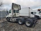 2019 Freightliner Cascadia 116