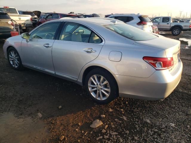 2010 Lexus ES 350