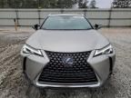 2020 Lexus UX 250H