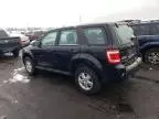 2011 Ford Escape XLS