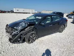 Salvage cars for sale at Taylor, TX auction: 2019 Nissan Altima SV