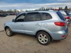 2007 Hyundai Santa FE SE