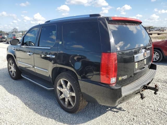 2009 Cadillac Escalade Hybrid