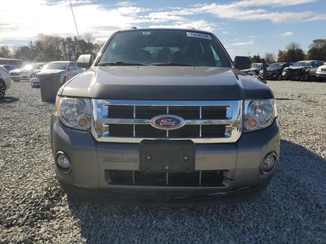 2011 Ford Escape XLT