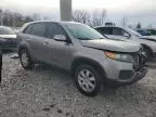 2011 KIA Sorento Base