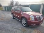 2011 Cadillac Escalade Luxury