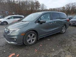 Salvage cars for sale at Baltimore, MD auction: 2020 Honda Odyssey EX