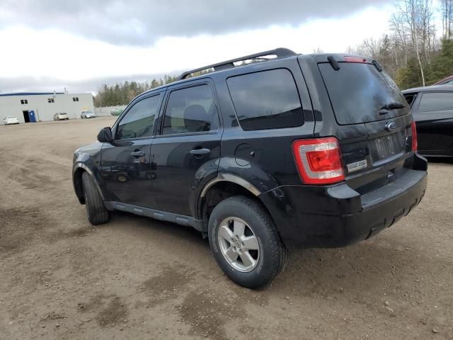 2011 Ford Escape XLT