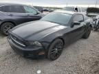 2013 Ford Mustang