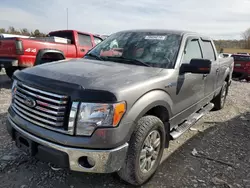 Ford salvage cars for sale: 2010 Ford F150 Supercrew