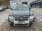 2009 Ford Escape Limited