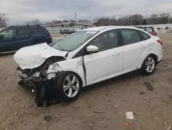 Salvage cars for sale at Louisville, KY auction: 2014 Ford Focus SE