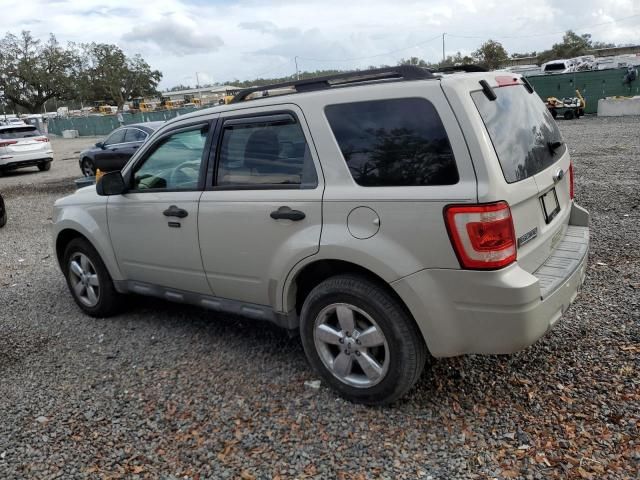 2009 Ford Escape XLT