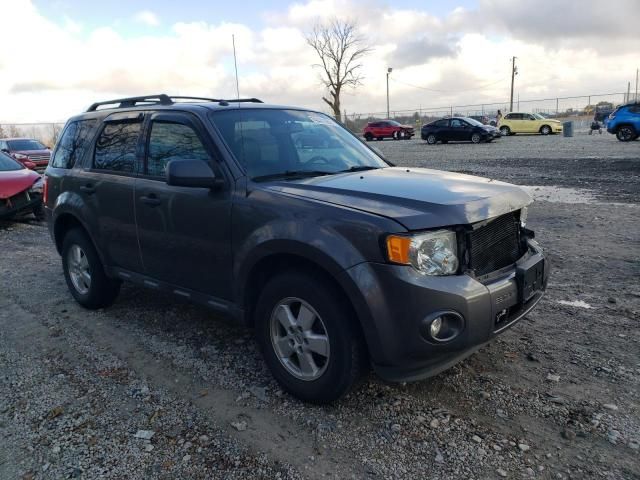 2012 Ford Escape XLT