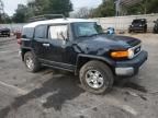 2010 Toyota FJ Cruiser