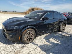 Salvage cars for sale at Taylor, TX auction: 2024 Ford Mustang MACH-E Premium