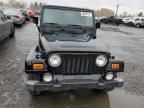 2001 Jeep Wrangler / TJ Sahara