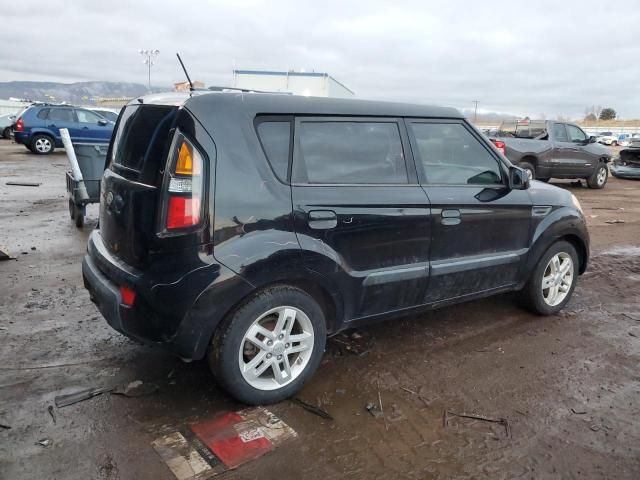 2010 KIA Soul +