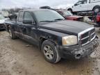 2005 Dodge Dakota SLT