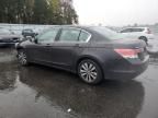 2011 Honda Accord EX