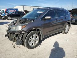 2013 Honda CR-V EXL en venta en Haslet, TX