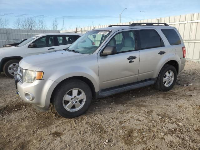 2009 Ford Escape XLT