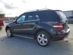 2010 Mercedes-Benz ML 350