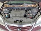 2010 Honda Odyssey EXL