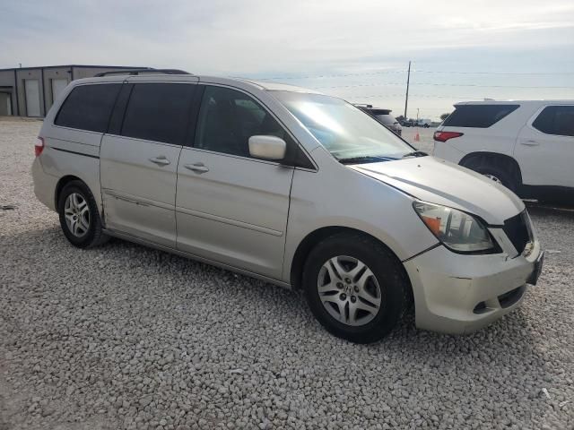 2005 Honda Odyssey EXL