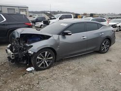 Nissan salvage cars for sale: 2019 Nissan Maxima S