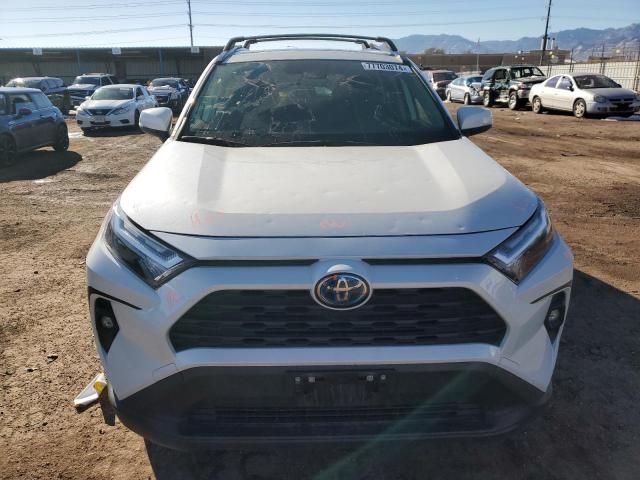 2022 Toyota Rav4 XLE Premium