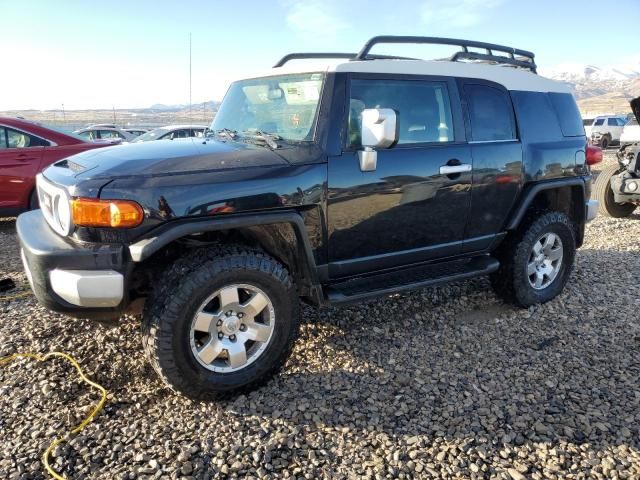 2007 Toyota FJ Cruiser