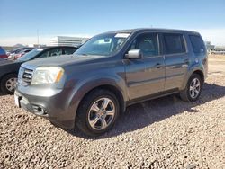 Salvage cars for sale at Phoenix, AZ auction: 2013 Honda Pilot EX