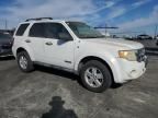 2008 Ford Escape XLT