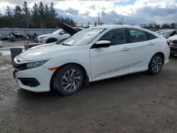 2018 Honda Civic LX en venta en Bowmanville, ON