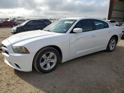 Dodge Vehiculos salvage en venta: 2013 Dodge Charger SE